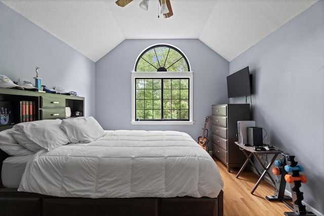 34 Village View Ter Unit 34, Meriden, CT 06451 - bedroom with light wood-type flooring, lofted ceiling, and a ceiling fan