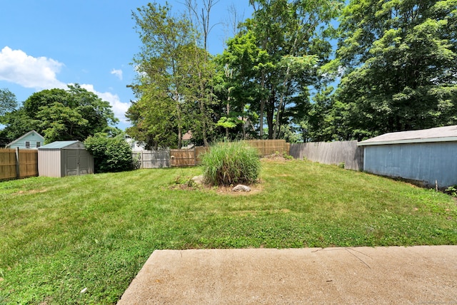169 Mount Pleasant St, Norwich, CT 06360 - fenced backyard with a storage shed