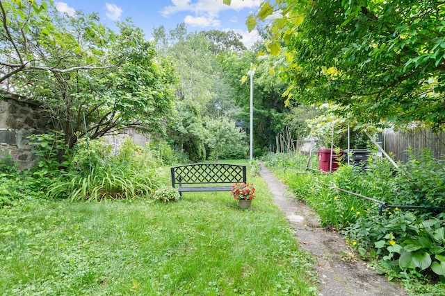 33 Aetna St, Naugatuck, CT 06770 - view of yard