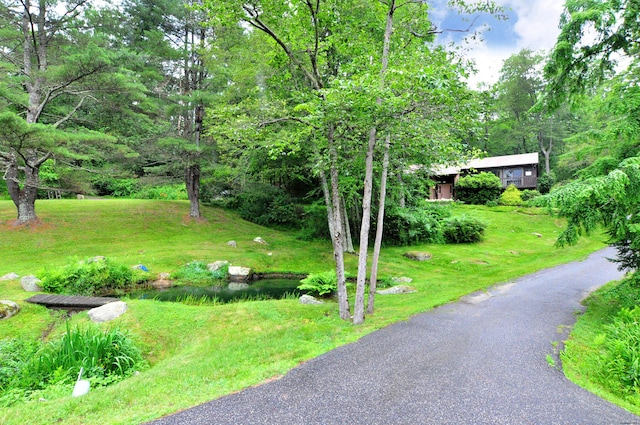 172 Bentley Cir, Goshen, CT 06756 - view of grassy yard
