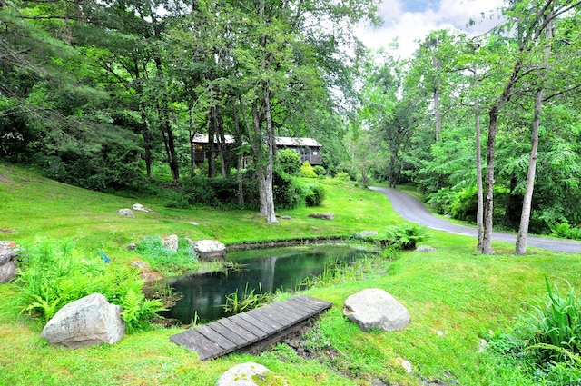 172 Bentley Cir, Goshen, CT 06756 - view of yard