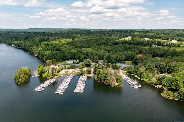 172 Bentley Cir, Goshen, CT 06756 - aerial view of a nearby body of water and numerous boat docks