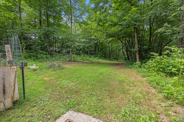 931 Chestnut Hill Rd, Glastonbury, CT 06073 - view of yard