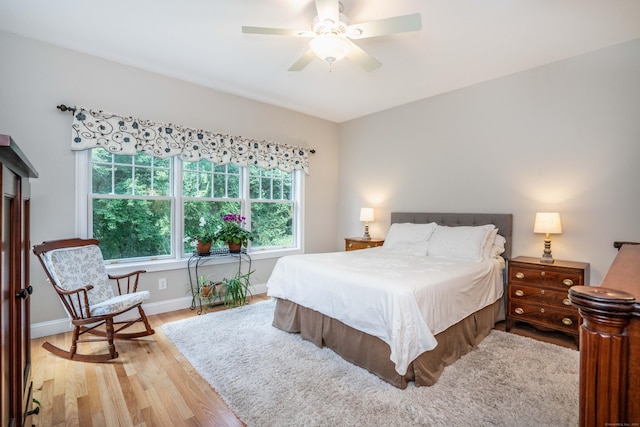 802 Dzen Way Unit 802, South Windsor, CT 06074 - bedroom featuring light wood-style floors and a ceiling fan