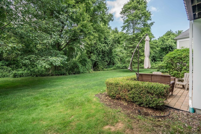 802 Dzen Way Unit 802, South Windsor, CT 06074 - view of grassy yard