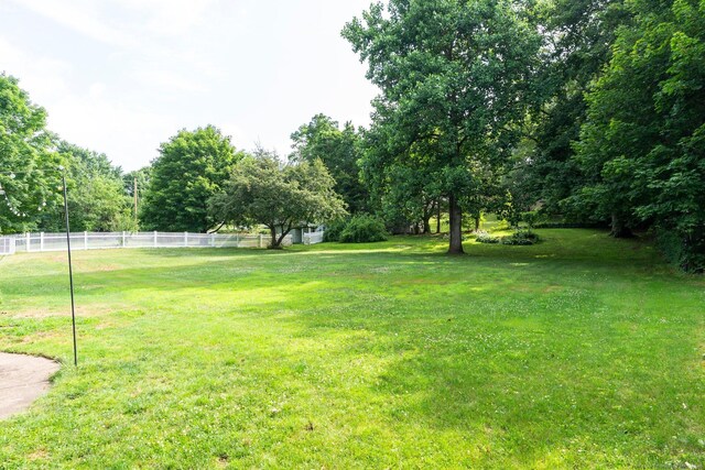 216 Main St, Glastonbury, CT 06073 - view of yard