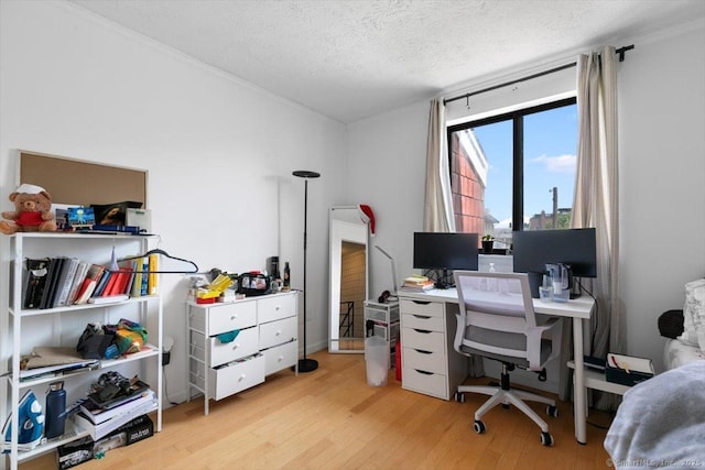 125 Olive St Apt D2, New Haven, CT 06511 - office featuring wood finished floors and a textured ceiling