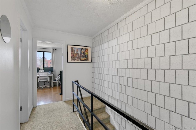 125 Olive St Apt D2, New Haven, CT 06511 - corridor featuring crown molding, a desk, a textured ceiling, tile walls, and light colored carpet