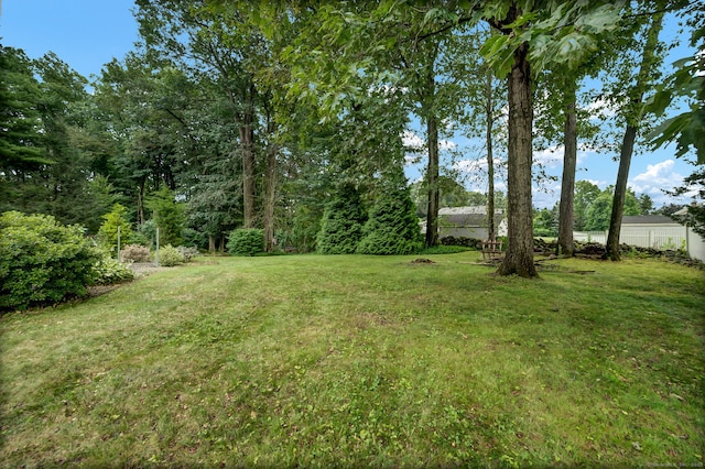 186 Wood Pond Rd, South Windsor, CT 06074 - view of yard