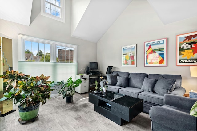 376 Woodridge Unit 376, Shelton, CT 06484 - living area featuring high vaulted ceiling and wood finished floors