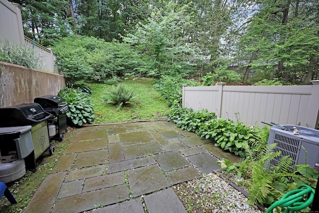 44 Hitching Post Ln Unit 44, Glastonbury, CT 06033 - view of patio / terrace with a grill