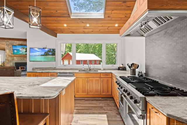 85 Good Hill Rd, Roxbury, CT 06783 - kitchen featuring stainless steel appliances, custom range hood, a skylight, light wood-type flooring, and a large fireplace