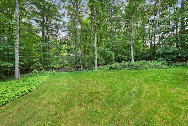 2620 High Ridge Rd, Stamford, CT 06903 - photo 28
