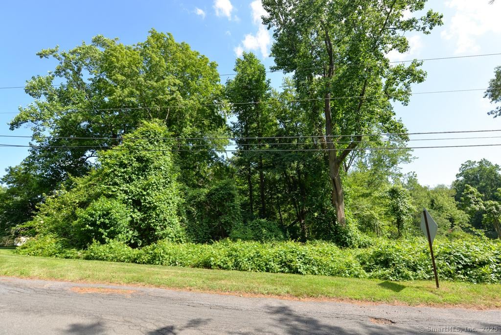 LOT64 Highpoint Rd, Woodbury, CT 06798 - photo 2