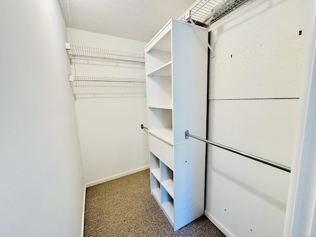 93 Trolley Crossing Ln Unit 93, Middletown, CT 06457 - walk in closet with carpet