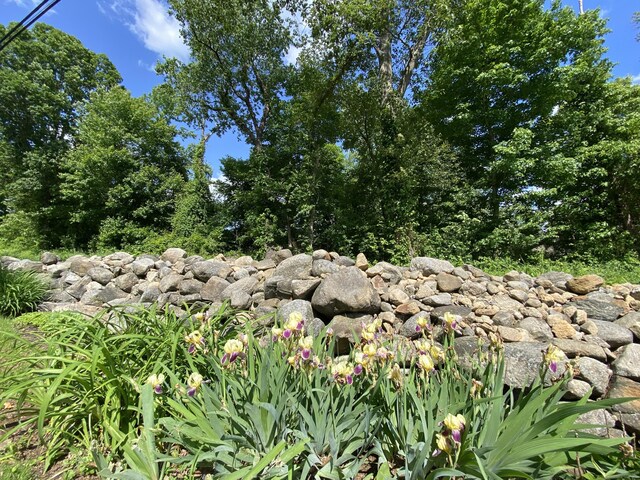 403 Bethmour Rd, Bethany, CT 06524 - view of nature