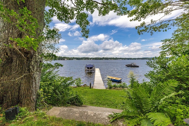 281 E Shore Rd, Morris, CT 06763 - photo 1