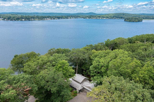 281 E Shore Rd, Morris, CT 06763 - photo 40