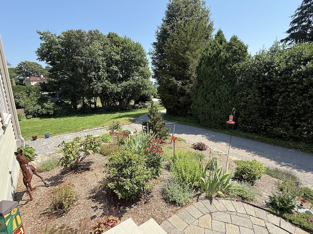 5 Lees Ct, Stonington, CT 06378 - view of green lawn