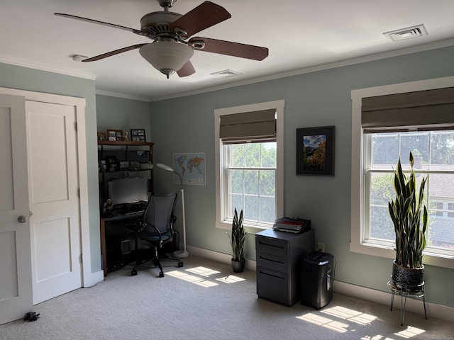 5 Lees Ct, Stonington, CT 06378 - office space with a ceiling fan, crown molding, and carpet