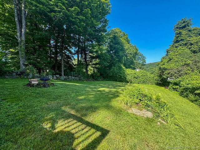 51 Vista Ave, Danbury, CT 06811 - photo 20