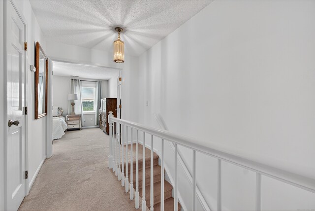 55 Mill Plain Rd Unit 5-3, Danbury, CT 06811 - photo 20