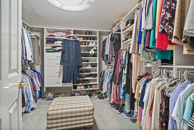 6 Robert Frost Dr, Shelton, CT 06484 - walk in closet with carpet