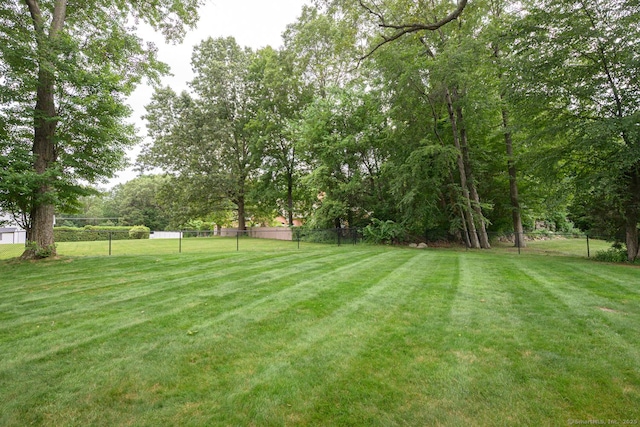 66 Del Prado Dr, Bristol, CT 06010 - view of yard