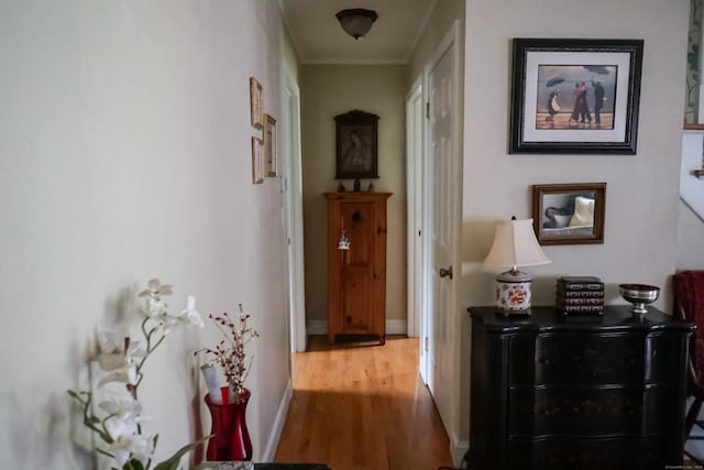 45-1/2 Woonsocket Ave, Shelton, CT 06484 - photo 14