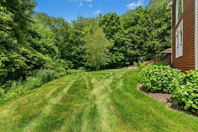 10 Belinsky Cir, Oxford, CT 06478 - photo 36