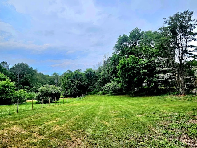 203 Old Jewett City Rd, Preston, CT 06365 - view of green lawn with a wooded view