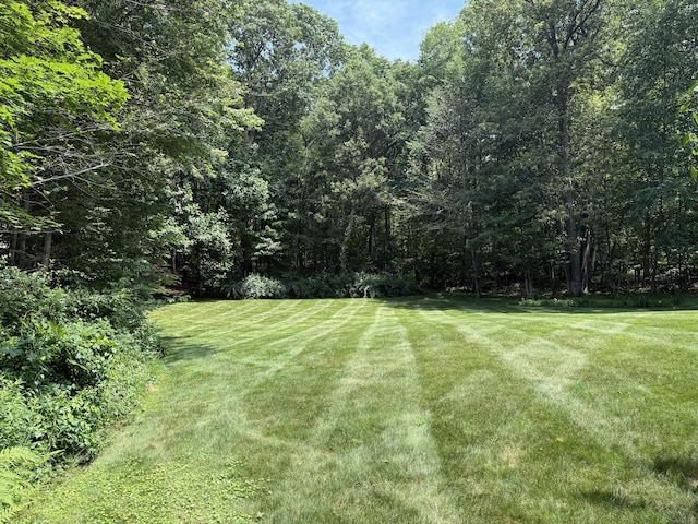160 Cobbler Ln, Southbury, CT 06488 - view of green lawn with a wooded view