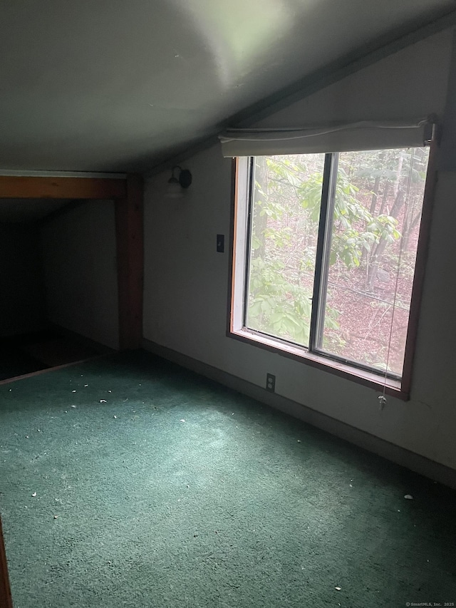 100 Park Rd, Oxford, CT 06478 - bonus room with lofted ceiling, carpet, and plenty of natural light