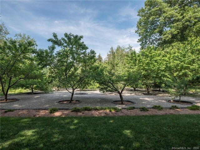 10 Firetower Rd, Killingworth, CT 06419 - view of grassy yard