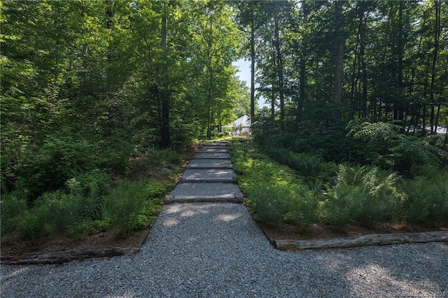 10 Firetower Rd, Killingworth, CT 06419 - view of road featuring a view of trees