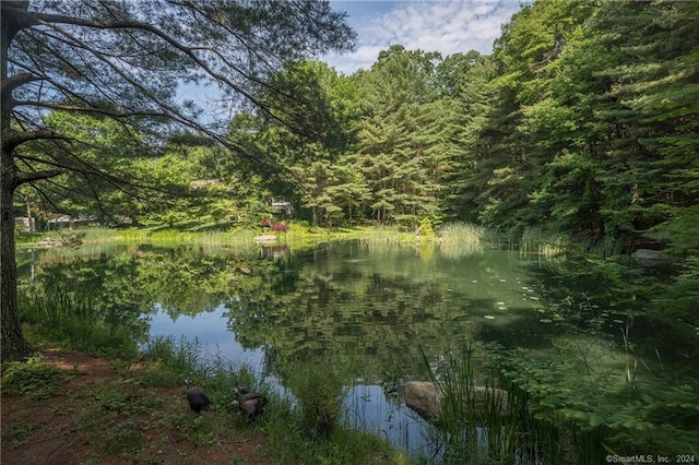 10 Firetower Rd, Killingworth, CT 06419 - water view with a forest