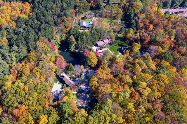 10 Firetower Rd, Killingworth, CT 06419 - aerial view of property's location with a forest