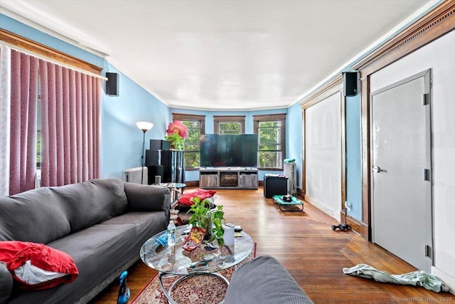 212 Maple St, New Haven, CT 06511 - living area with radiator heating unit and wood finished floors