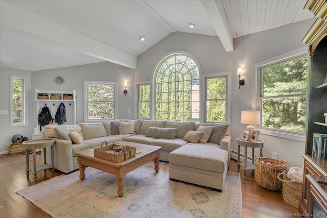 9 Madrina Ln, Madison, CT 06443 - living room featuring wood finished floors and a baseboard radiator