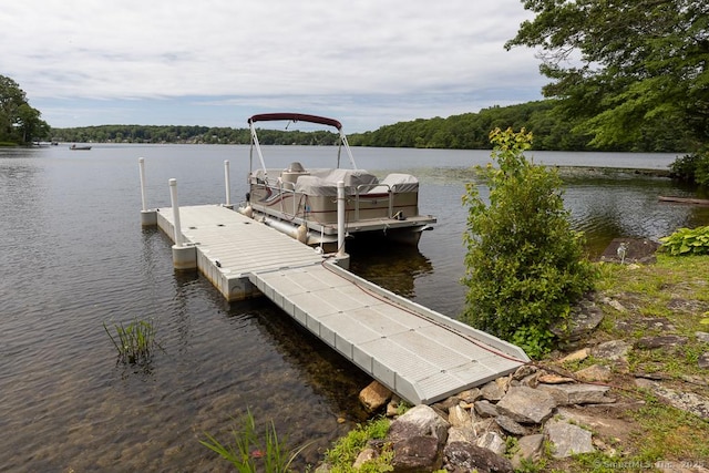 6 Deepwood Dr, Lebanon, CT 06249 - photo 29