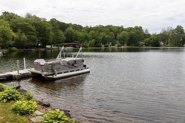 6 Deepwood Dr, Lebanon, CT 06249 - photo 32