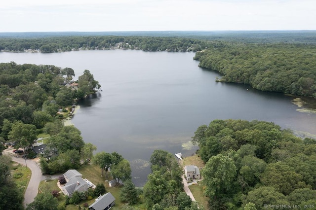 6 Deepwood Dr, Lebanon, CT 06249 - photo 35
