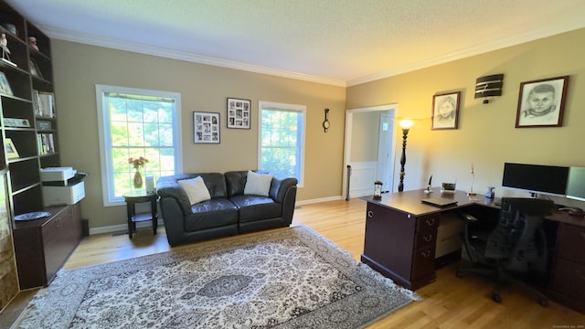 355 Oregon Rd, Cheshire, CT 06410 - home office featuring ornamental molding, wood finished floors, healthy amount of natural light, and a textured ceiling