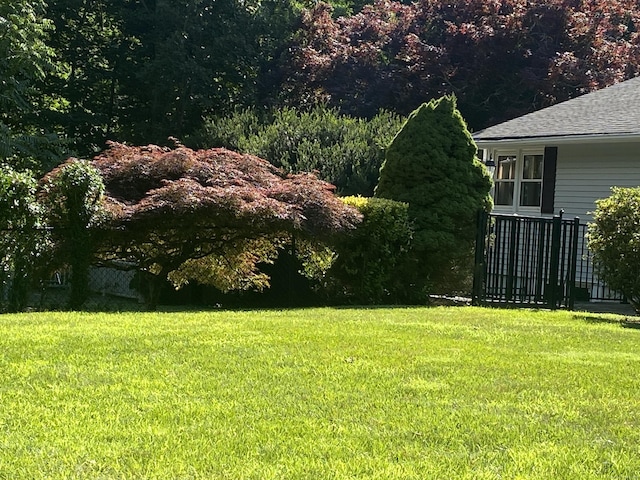 15 S Meadow Dr, Danbury, CT 06811 - view of yard