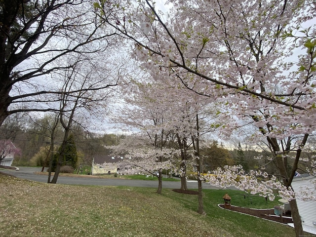15 S Meadow Dr, Danbury, CT 06811 - view of community