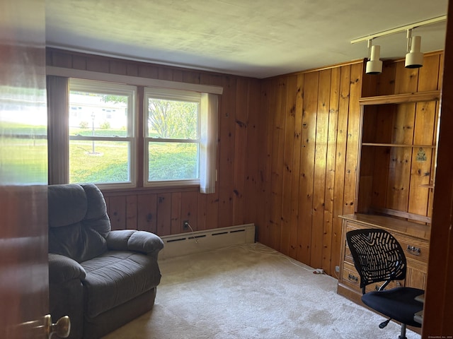 15 S Meadow Dr, Danbury, CT 06811 - office area featuring a baseboard radiator, carpet flooring, and wood walls