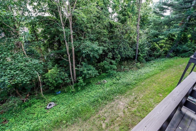 157 Shelter Rock Rd Unit 4, Danbury, CT 06810 - photo 18