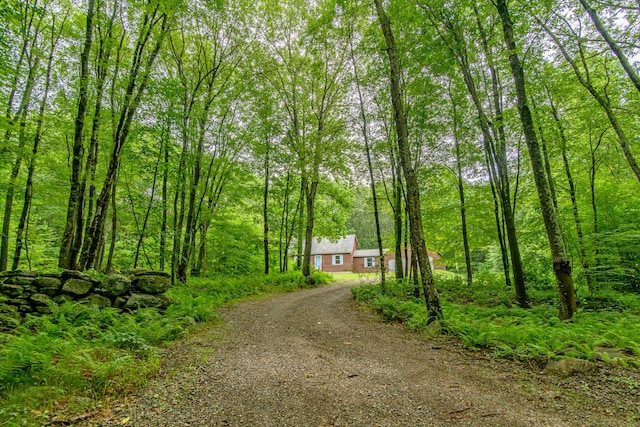 132 Wade Rd, Pomfret, CT 06259 - view of dirt / gravel driveway featuring a forest view