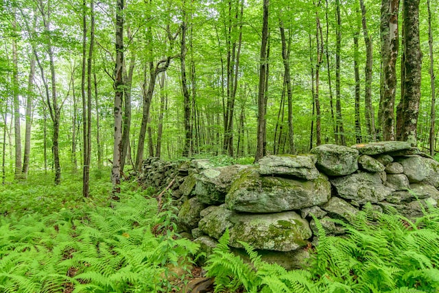 132 Wade Rd, Pomfret, CT 06259 - view of woods