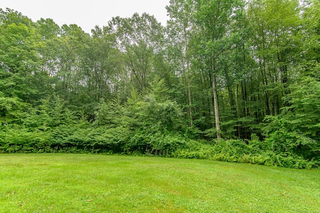 132 Wade Rd, Pomfret, CT 06259 - view of green lawn